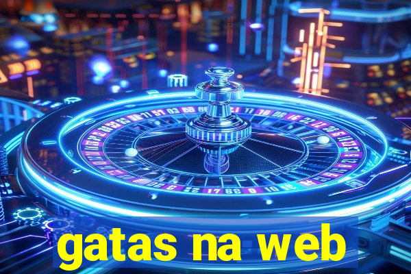 gatas na web